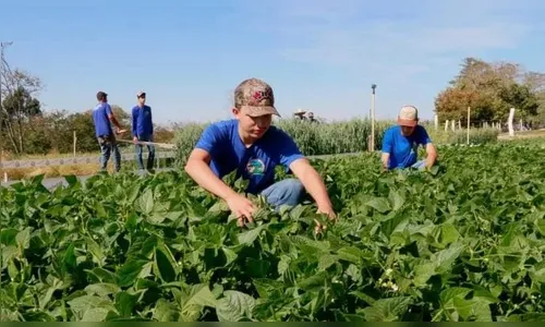 Prefeitura apoia o agronegócio