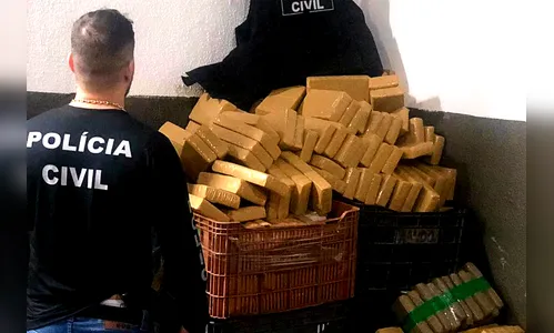 Polícia Civil apreende 7,7 toneladas de maconha em quatro dias