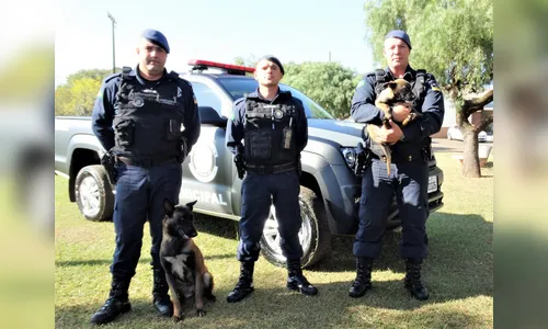 Dois novos cães são incorporados no Canil Integrado de Arapongas
