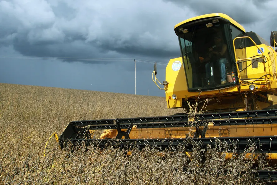 Expectativa de manutenção da área total, em torno de 5,9 milhões de hectares (Foto:AEN)