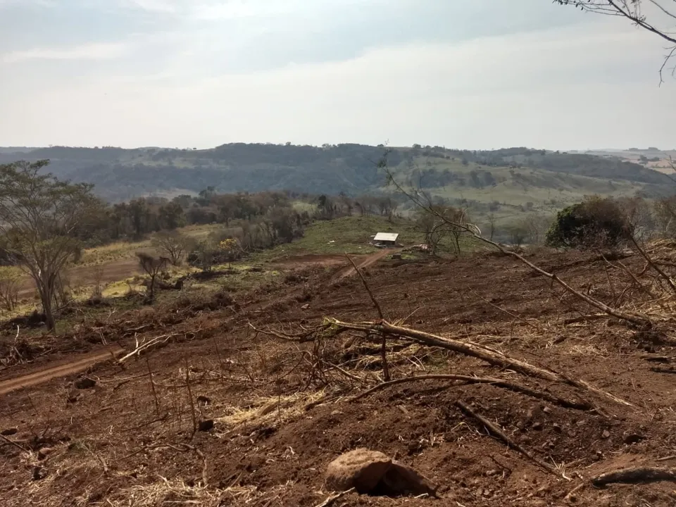 Dono de propriedade é multado em mais de R$90 mil por destruir vegetação em Jandaia do Sul 