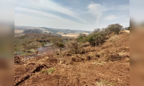 
						
							Dono de propriedade é multado em mais de R$90 mil por destruir vegetação em Jandaia do Sul 
						
						