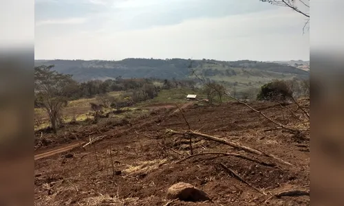 Dono de propriedade é multado em mais de R$90 mil por destruir vegetação em Jandaia do Sul 