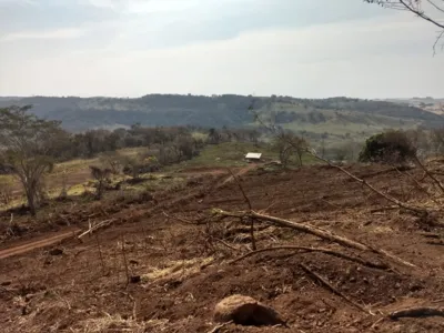 Dono de propriedade é multado em mais de R$90 mil por destruir vegetação em Jandaia do Sul 