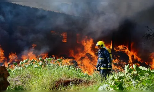 Apucarana já registrou 225 incêndios ambientais 