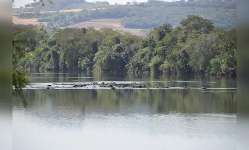 Rios do Vale do Ivaí estão com baixo nível de água