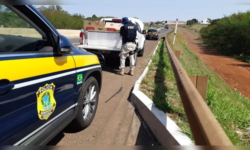 Motorista é preso com 20 mil maços de cigarros contrabandeados, na BR-376