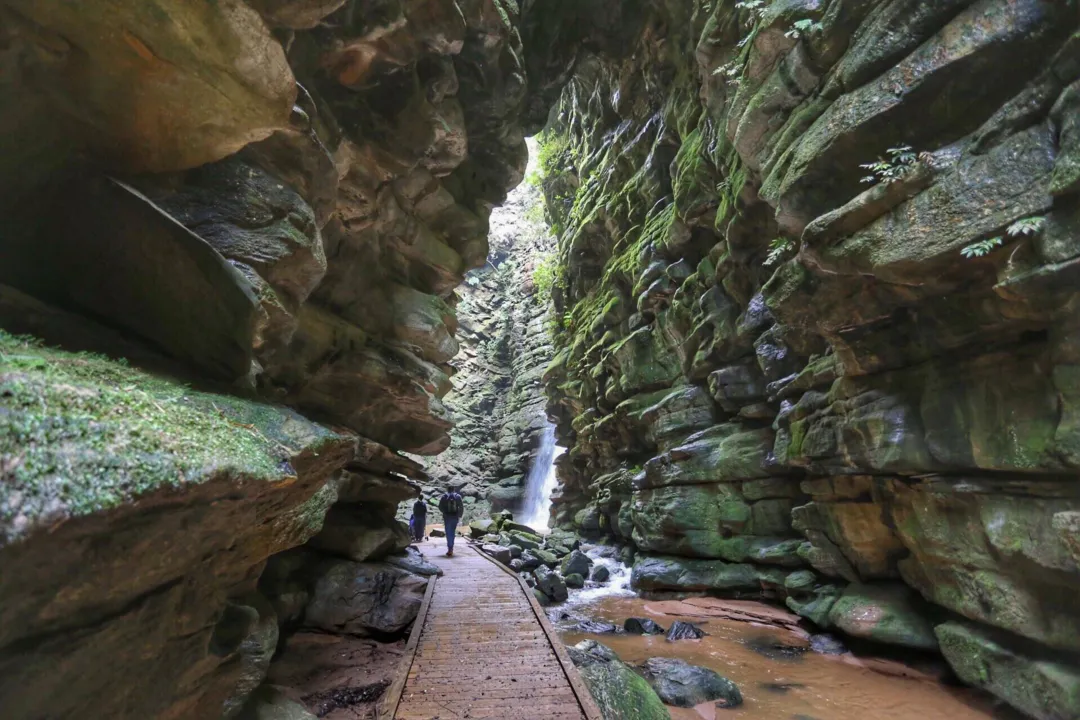 Campos Gerais têm natureza, tropeirismo e cultura europeia