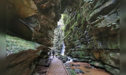 Campos Gerais têm natureza, tropeirismo e cultura europeia