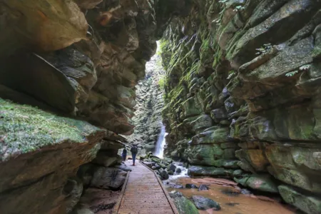 Campos Gerais têm natureza, tropeirismo e cultura europeia