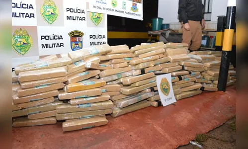 PRE apreende mais de 500 Kg de maconha em Porto Ubá