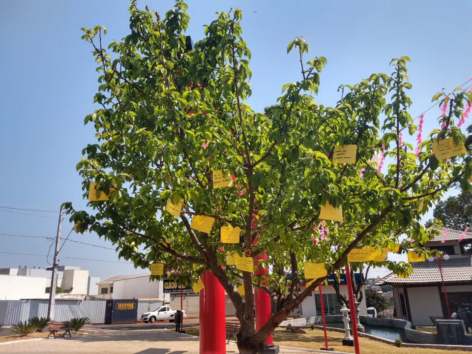 Dentre as atividades, bilhetes nas árvores dos espaços públicos com mensagens de apoio contra a depressão e o suicídio. (Foto: Assessoria Imprensa de Ivaiporã)