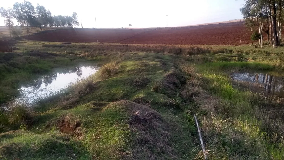 As intervenções ocorreram em um trecho de aproximadamente 0,40 hectares. (Foto: Polícia Ambiental)