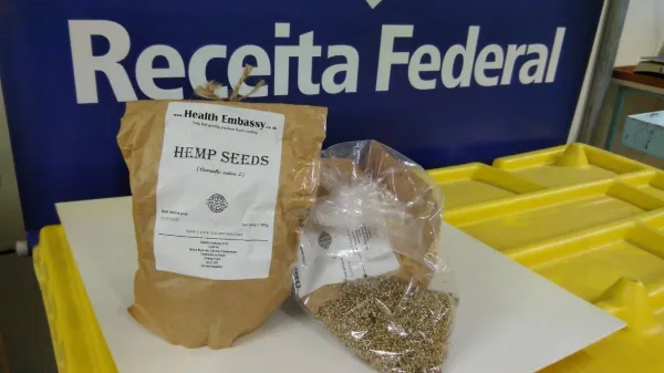 Em Curitiba, Receita flagra quatro 'importações' de sementes de maconha por dia