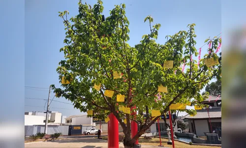 Prefeitura de Ivaiporã realiza atividades conscientizando sobre prevenção do suicídio