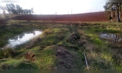 Polícia Ambiental autua propriedade rural em Jardim Alegre