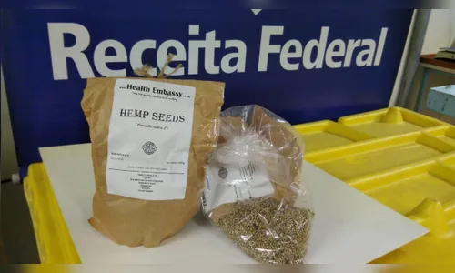 Em Curitiba, Receita flagra quatro 'importações' de sementes de maconha por dia
