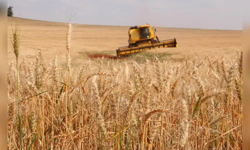 Taxa do Incra deve ser quitada até o dia 2 de outubro