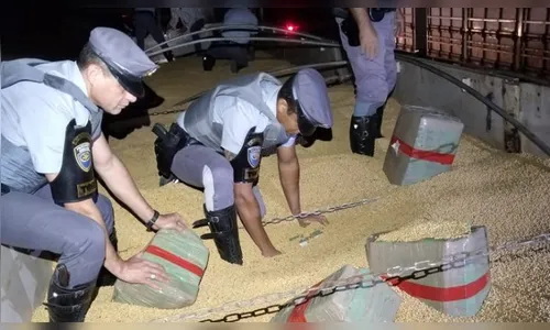 Polícia apreende 11 toneladas de maconha em São Paulo