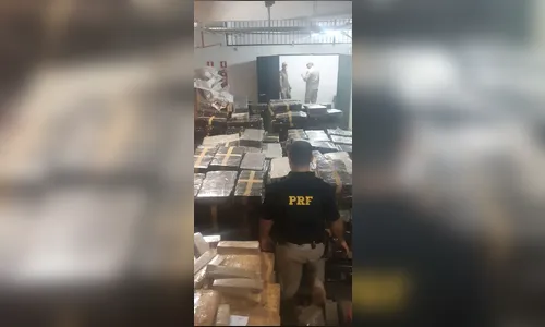 PRF descobre 4,6 toneladas de maconha e faz a maior apreensão do ano no Paraná
