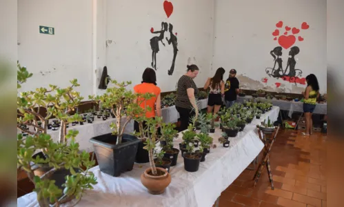 
							Exposição de Flores em Jardim Alegre supera expectativas
						
						