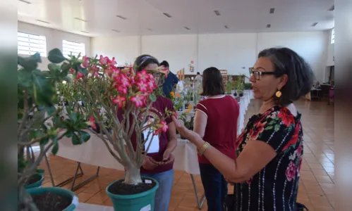 
							Exposição de Flores em Jardim Alegre supera expectativas
						
						
