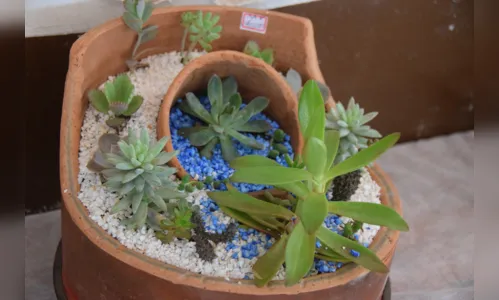 
							Exposição de Flores em Jardim Alegre supera expectativas
						
						
