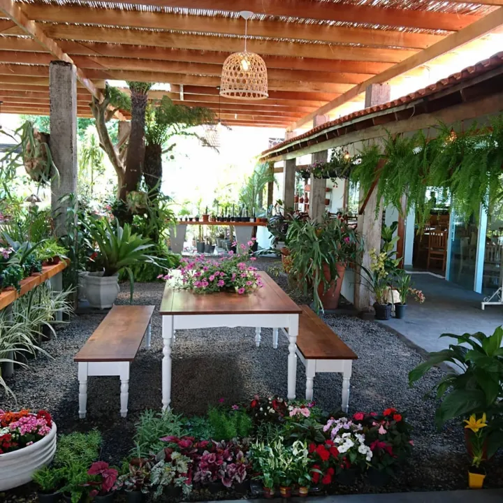 Restaurante de Apucarana amplia espaço, comer ouvindo o som dos pássaros e com vista para um jardim agora é uma opção