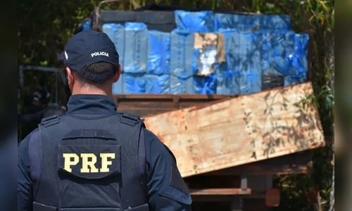 Em oito meses, PRF apreende mais cigarros do que em todo o ano de 2018 no Paraná