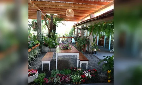 Restaurante de Apucarana amplia espaço, comer ouvindo o som dos pássaros e com vista para um jardim agora é uma opção