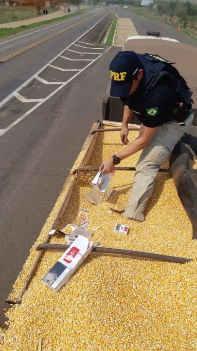 Abordado na BR-487 em Alto Paraíso (PR), motorista foi preso em flagrante por contrabando; carga estava escondida sob camada de milho. (Foto: PRF)
