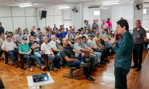 Prefeitura de Apucarana incentiva produção de abelha sem ferrão na área urbana