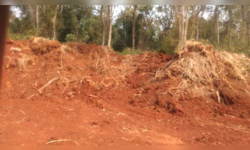 
							Prefeitura nega denúncia na internet que tenha degradado área ambiental
						
						