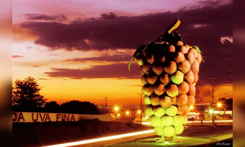 Cacho de Uva gigante em Marialva chama a atenção