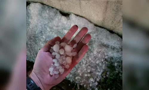 Curitiba registrou mais de 200 destelhamentos após temporal 