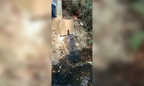 Vazamento de esgoto em córrego de Califórnia preocupa moradores 