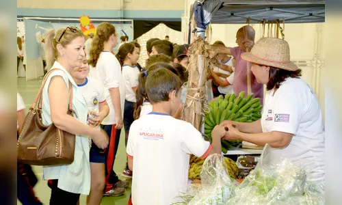 Feira de Ciências do Colégio Platão apresenta projetos sobre meio ambiente