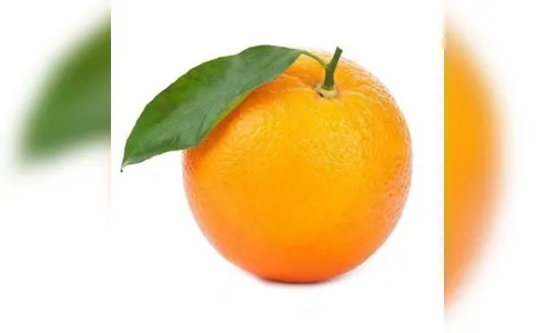 CANDIDATAS LARANJAS PODEM CASSAR A CHAPA TODA