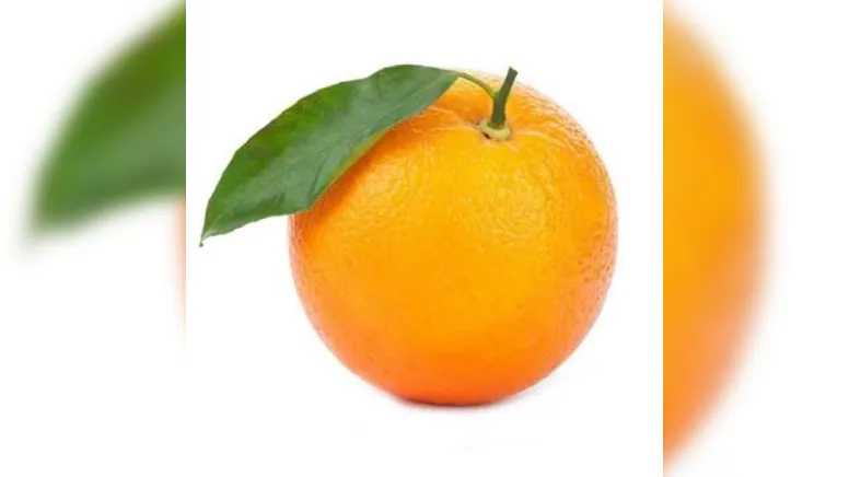 Imagem ilustrativa da notícia CANDIDATAS LARANJAS PODEM CASSAR A CHAPA TODA