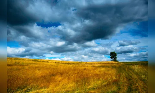 Brasil não fará parte da cúpula do clima porque não mostrou interesse, afirma ONU