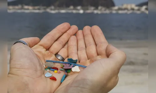 Pesquisas indicam ingestão de microplásticos por humanos