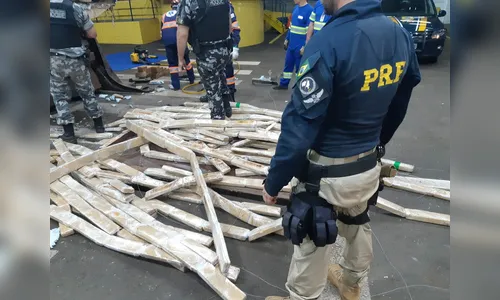 Motorista é preso com meia tonelada de maconha, em Mandaguari 