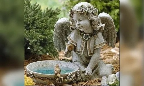 Primavera, seja bem-vinda! 