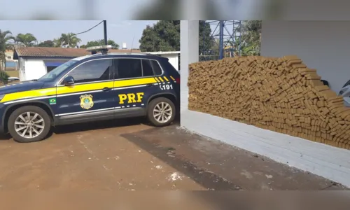 
							PRF apreende mais de 500 kg de maconha em Cambé; droga seria levada para São Paulo
						
						