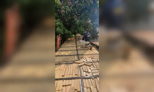 
							PRF apreende mais de 500 kg de maconha em Cambé; droga seria levada para São Paulo
						
						