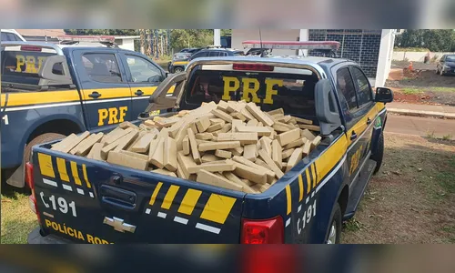 PRF apreende mais de 500 kg de maconha em Cambé; droga seria levada para São Paulo