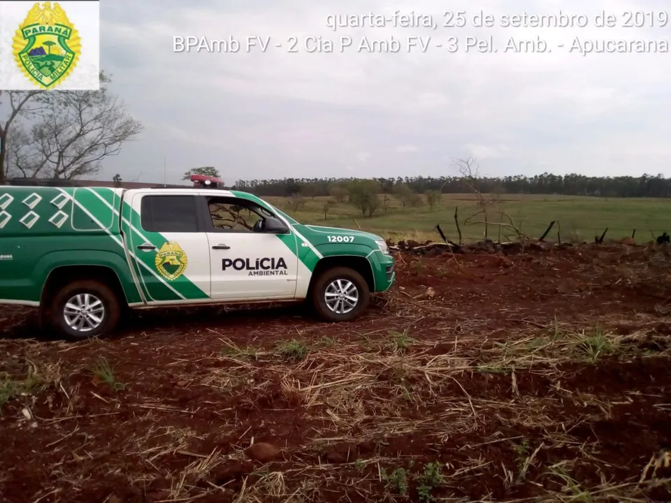 Propriedade rural em São João do Ivaí recebe multa de R$ 12.5 mil por destruição de mata nativa