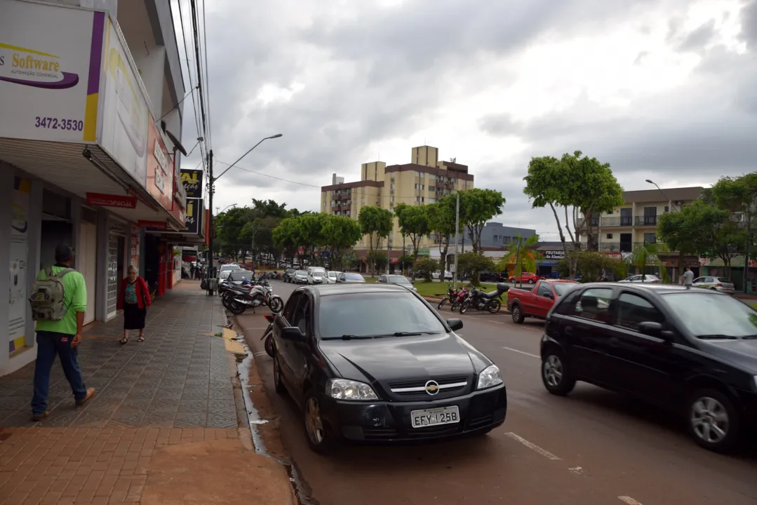 O plantio será realizado em setembro de 2020, nas comemorações do Dia da Árvore. (Fotos: Ivan Maldonado)