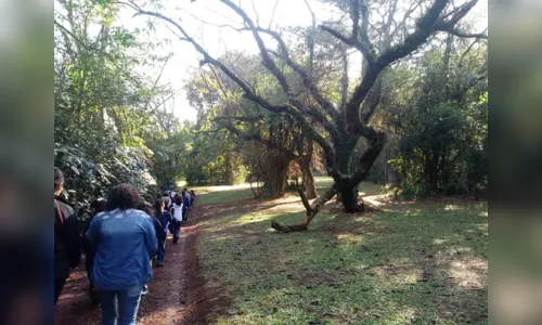 
							Alunos da rede municipal têm aula prática de ciências no meio da natureza 
						
						