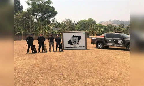 Equipe Canil da GM de Arapongas participa de capacitação em Goiânia